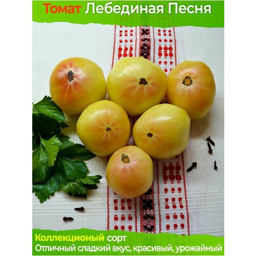 Томат Лебединая Песня - коллекционный сорт