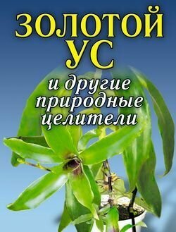 Золотой ус и другие природные целители - фото №9