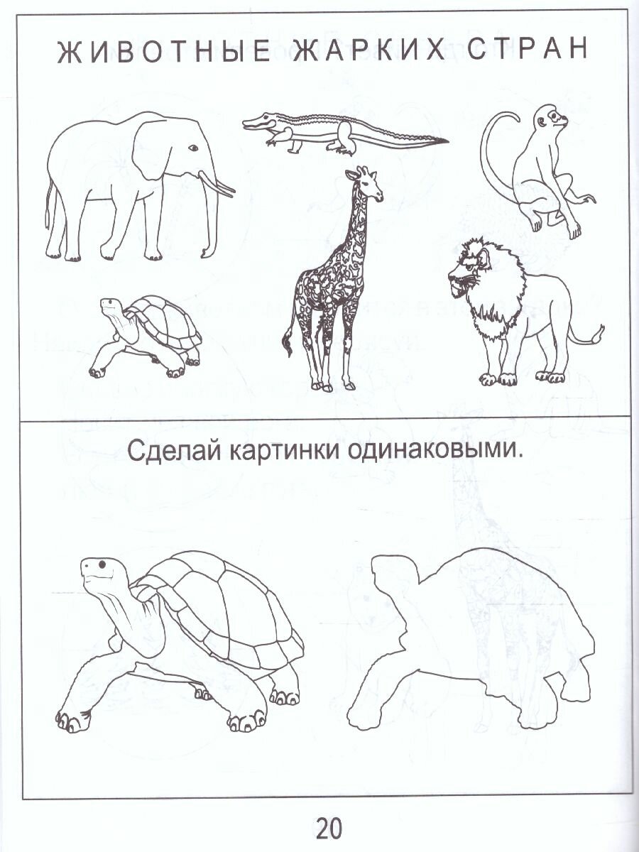 Знакомство с окружающим миром. Природа. Часть 2. Тетрадь для рисования. Для детей 4-6 лет - фото №3