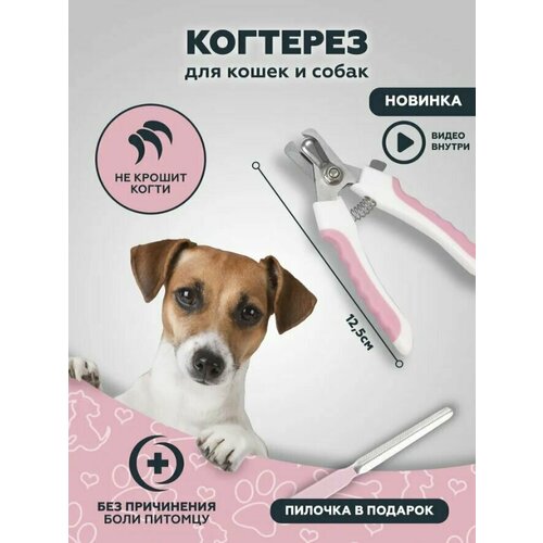 когтерез ножницы dezzie для собак длина 10 4 см Когтерез для кошек и собак ножницы для животных для груминга