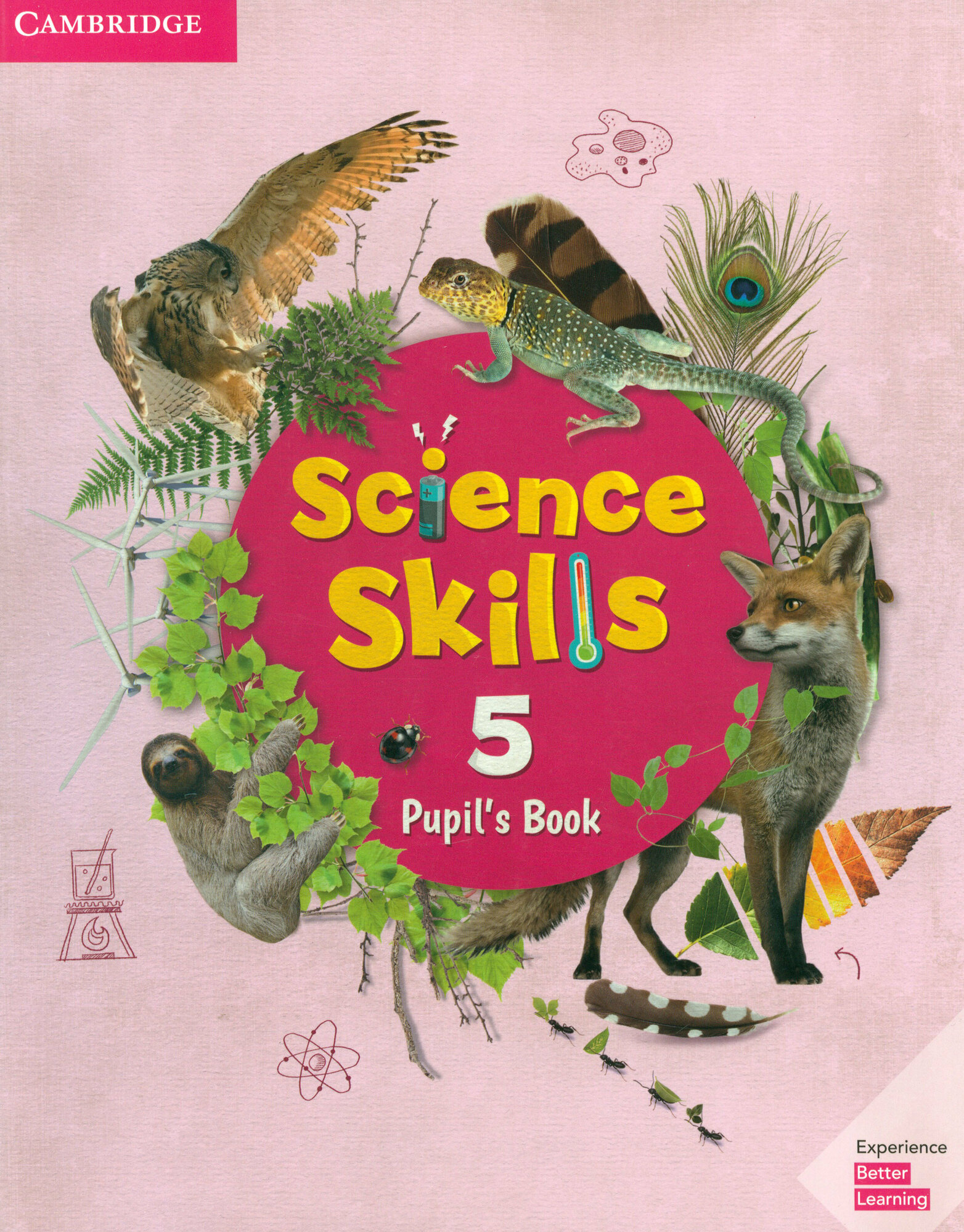 Science Skills. Level 5. Pupil's Book - фото №2