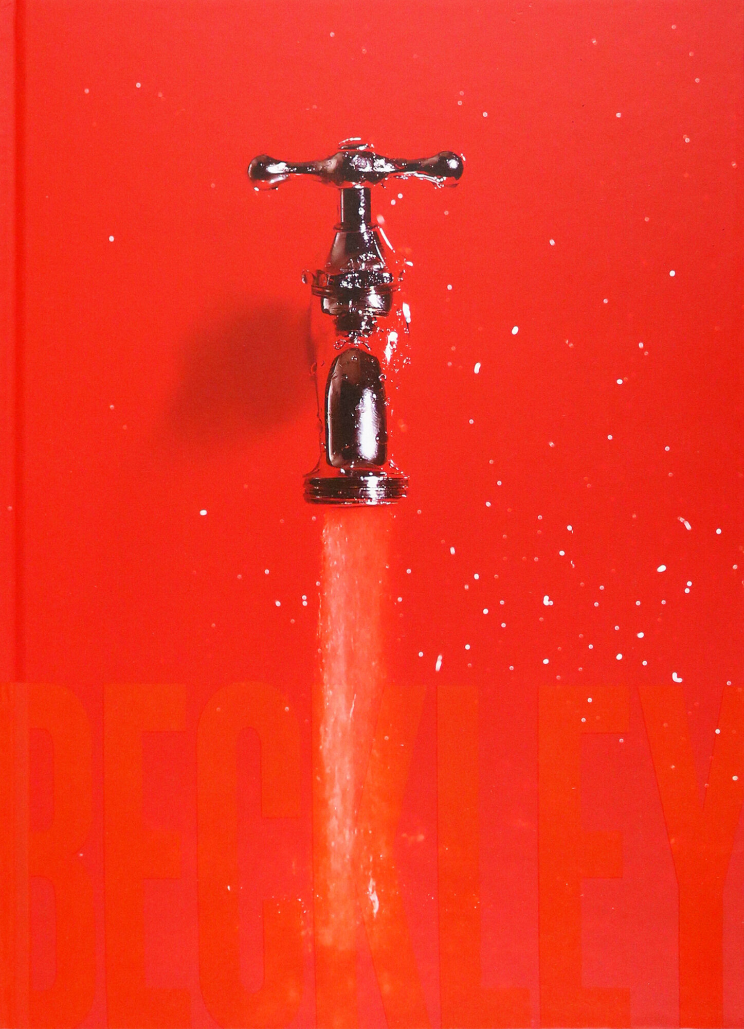 Bill Beckley and Narrative Art. The Word-Image Riddle and the Aesthetics of Beauty - фото №1