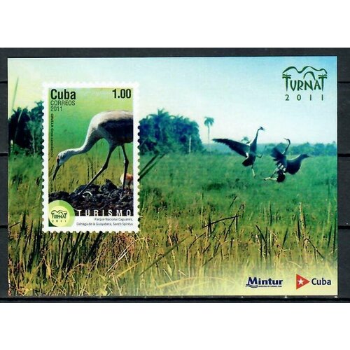 Почтовые марки Куба 2011г. Птицы - Турнат Птицы MNH