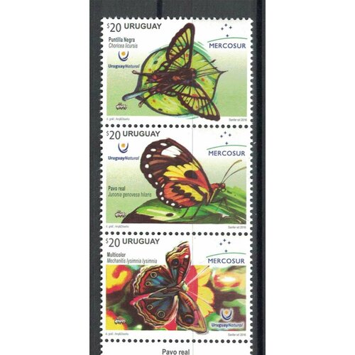 Почтовые марки Уругвай 2016г. Бабочки Уругвая Бабочки MNH почтовые марки куба 1993г бабочки бабочки mnh