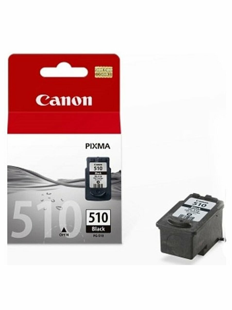 Картридж струйный Canon PG-510