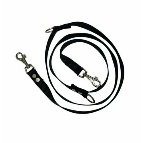 RichPet Поводок-перестежка для двух собак Арлекино, капрон, 2-х цветная 12 мм, 100-160 см