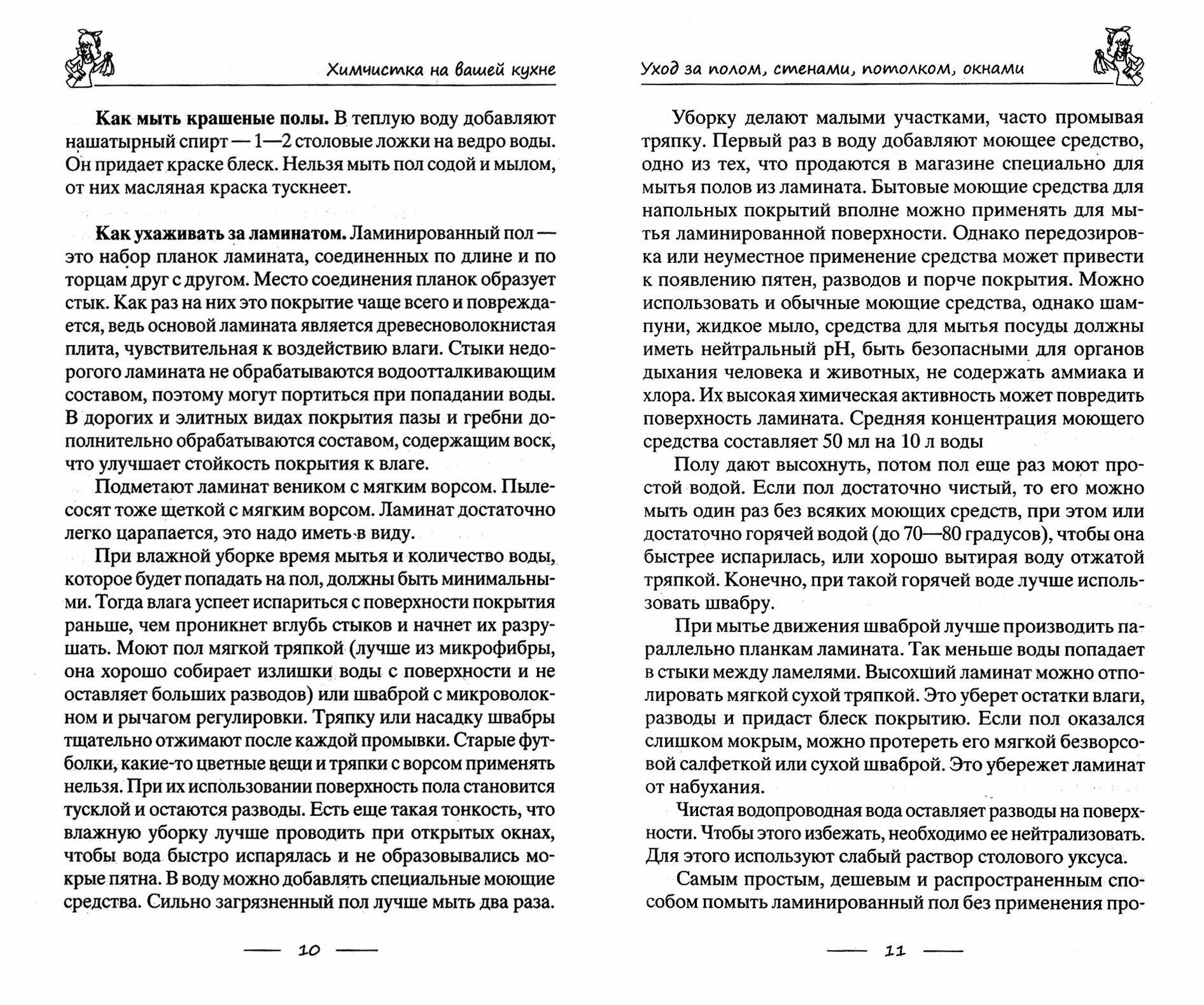 Химчистка на вашей кухне. Все для идеальной чистоты дома. Моем, чистим, полируем своими руками - фото №2