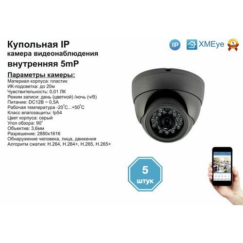 (5шт) DVS300IP5MP. Внутренняя IP камера 5мП с ИК до 20м.