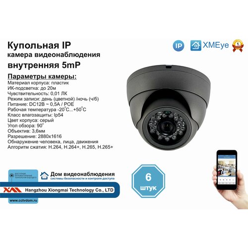 6шт DVS300IP5MP(POE) Внутренняя IP камера 5мП с ИК до 20м