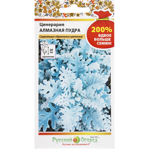 Семена Русский огород 200% Цинерария Алмазная пудра
