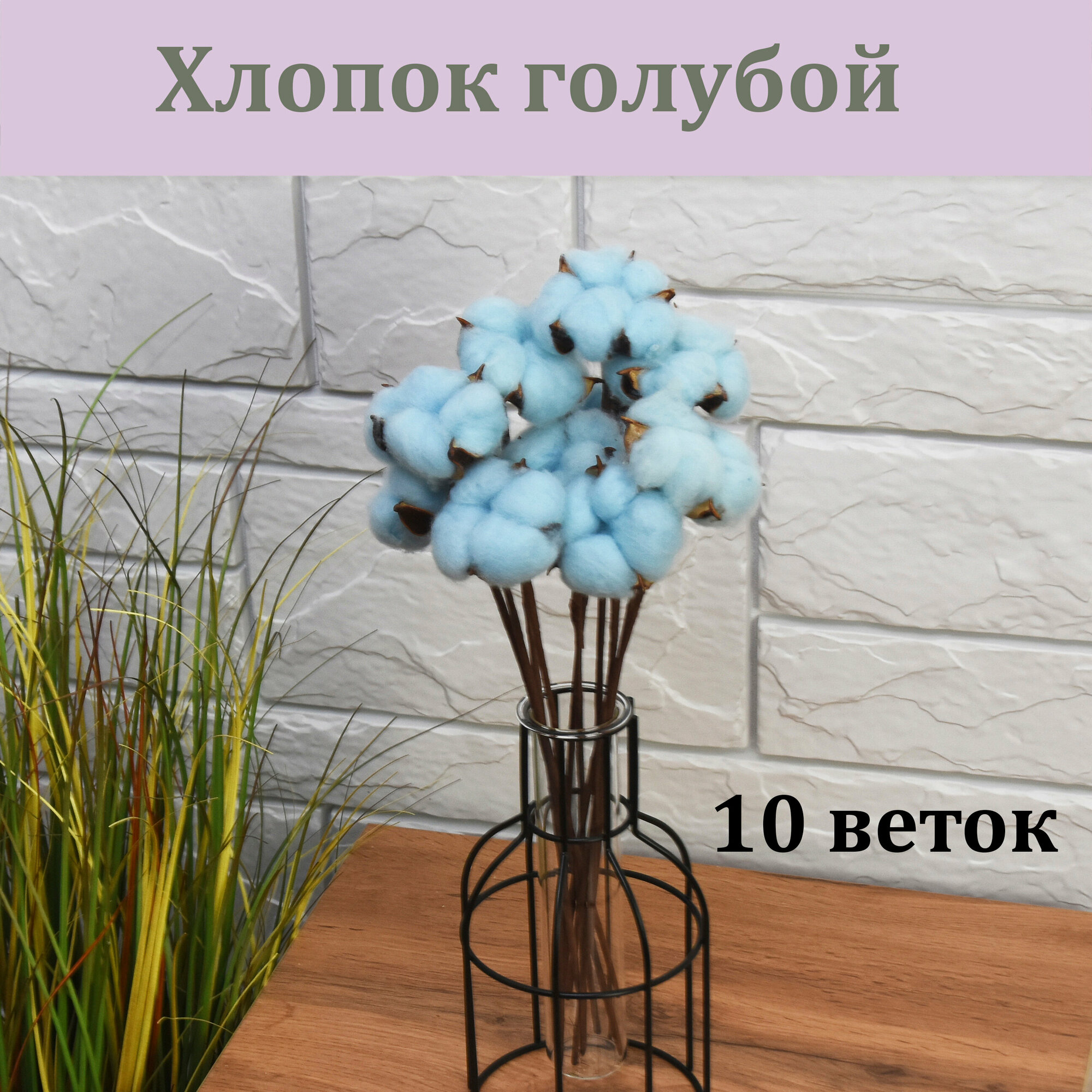 фото Веточки хлопка Голубого 10 шт./ Хлопок сухоцвет