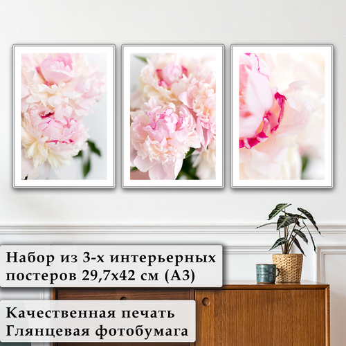 Постеры для интерьера на стену Розовые пионы набор из 3-х плакатов без рам для кухни 699₽