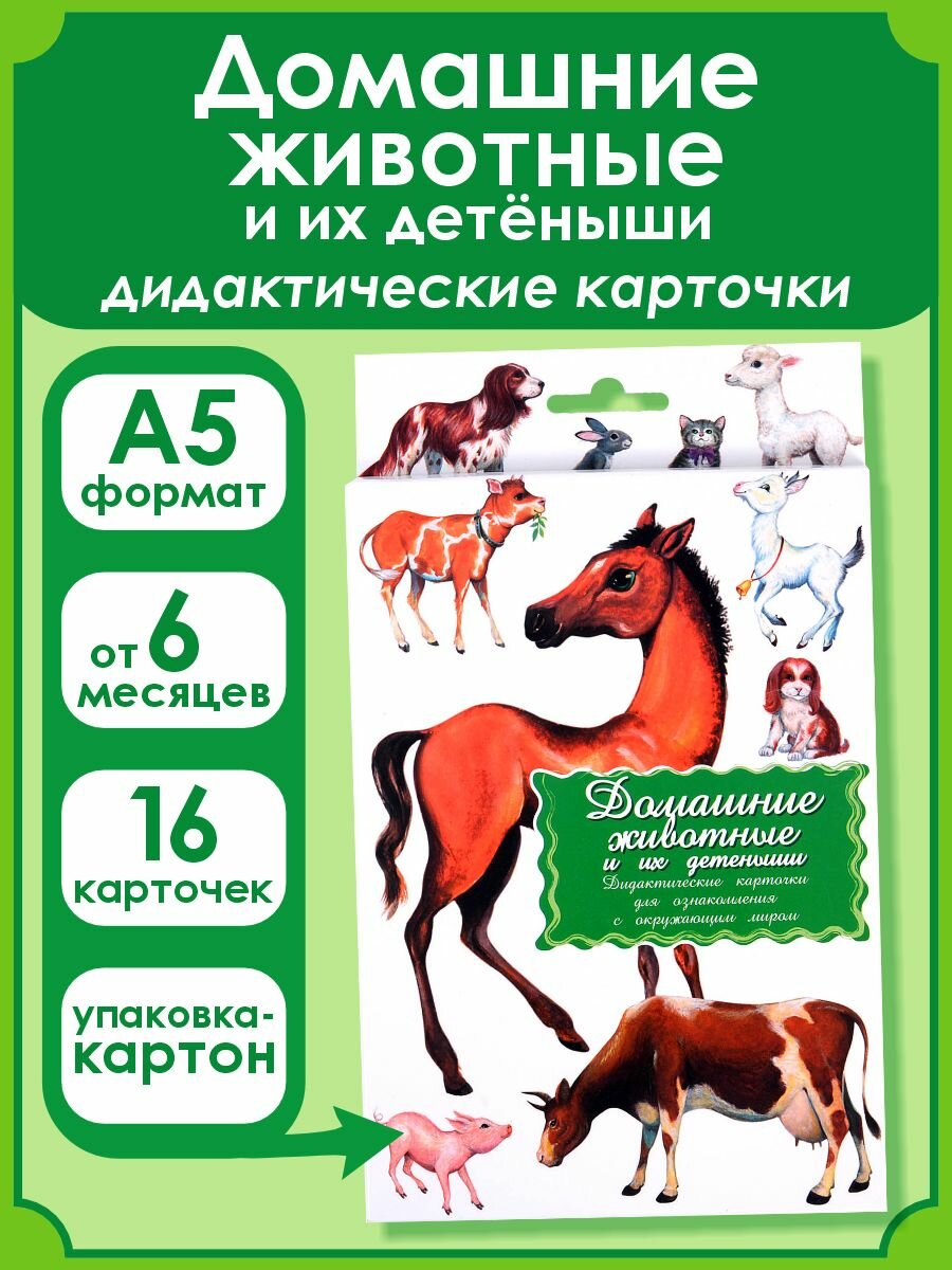 Дидактические карточки Маленький гений Домашние животные и их детёныши 25.5х15 см белый