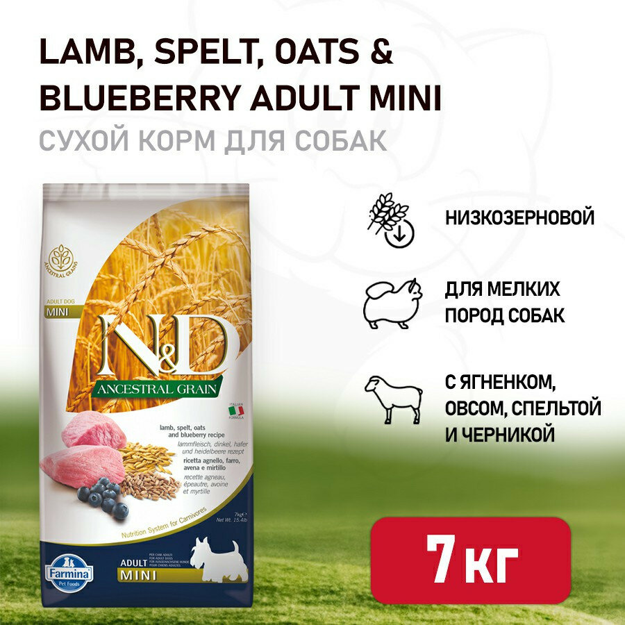 Farmina, Н&Д Dog низкозерновой ягненок с черникой для взрослых собак мини 7 кг - фото №10