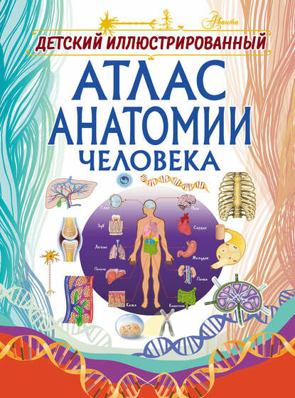 Детский иллюстрированный атлас анатомии человека [Цифровая книга]