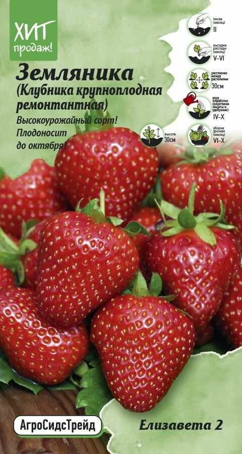 Семена ягод клубника ремонтантная Елизавета 2
