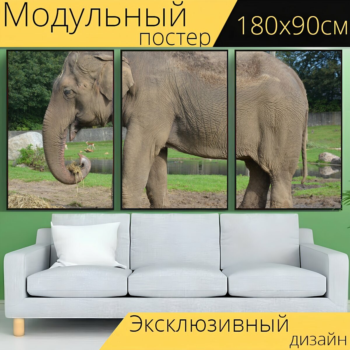 Модульный постер "Слон, ствол, млекопитающее" 180 x 90 см. для интерьера