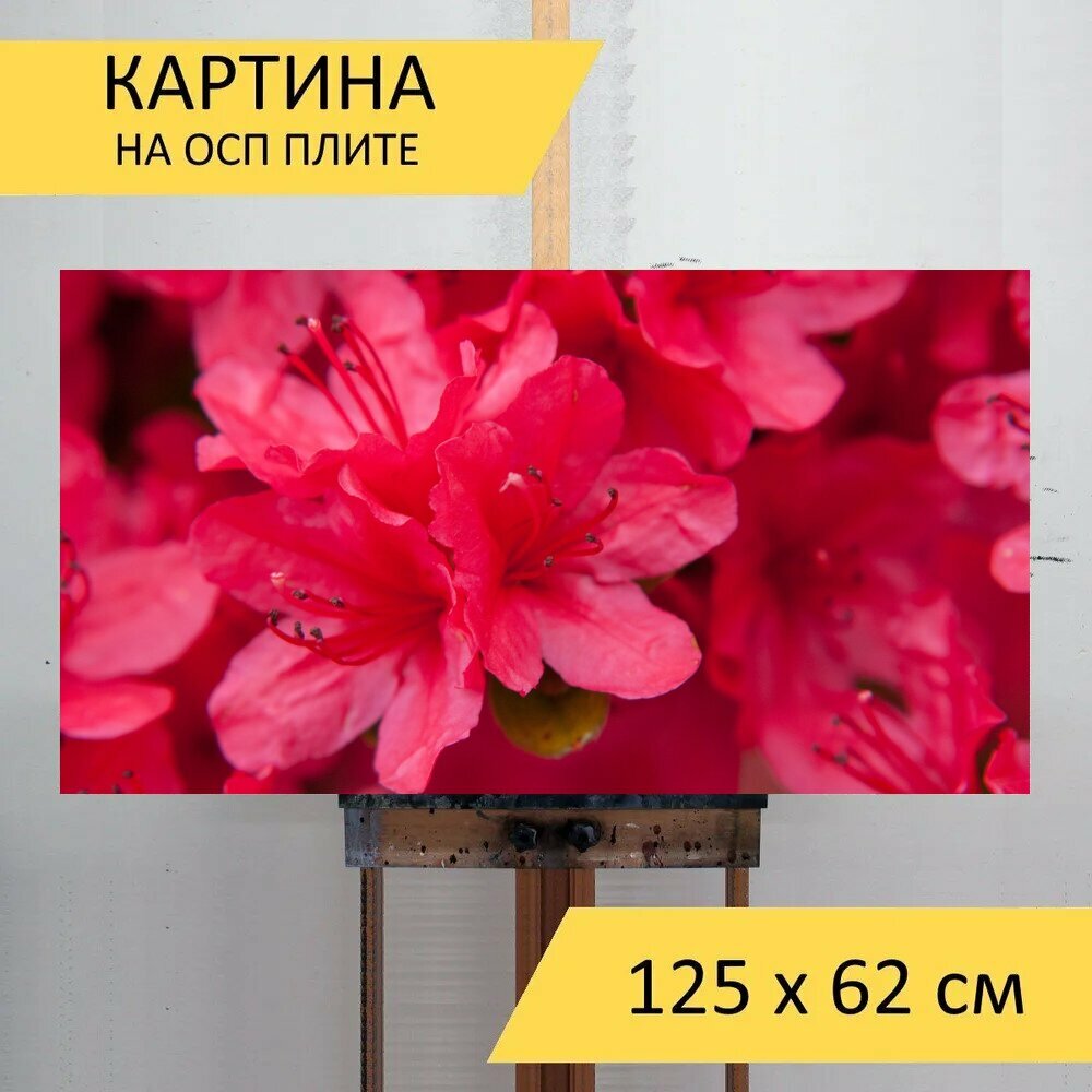 Картина на ОСП 125х62 см. 