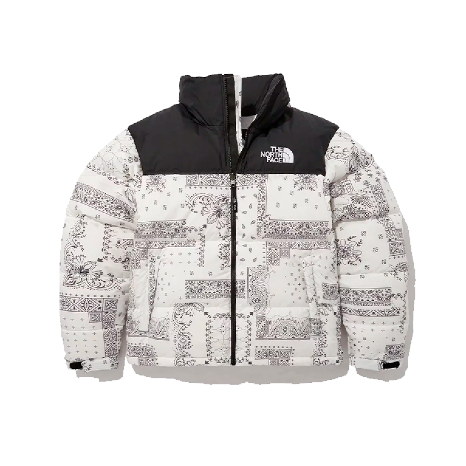 Куртка The North Face M'S 1996 Novelty Nuptse