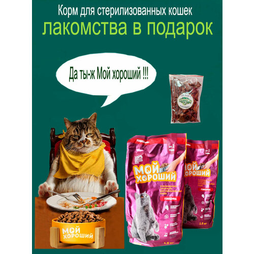 Корм 