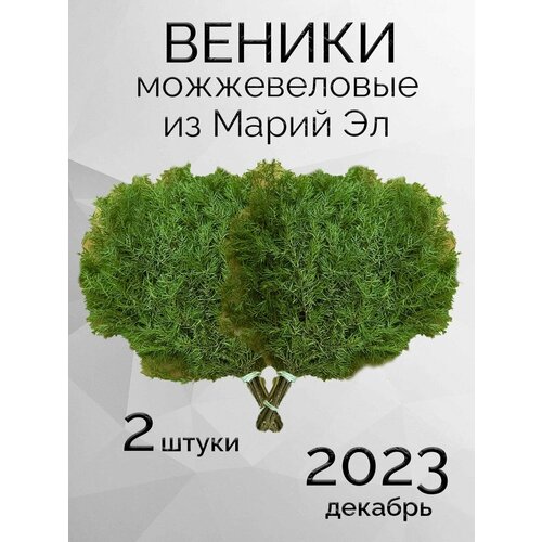 Можжевеловые веники для бани из Марий Эл в коробке 2 штуки веник можжевеловый для бани