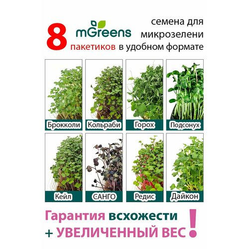 весовые семена для микрозелени mgreen s кейл ред рашен 20 г Ассорти семян №3 (Кейл/Горошек/Редис/Кольраби/Редис санго/Дайкон/Подсолнечник/Брокколи) для выращивания микрозелени дома с инструкцией.