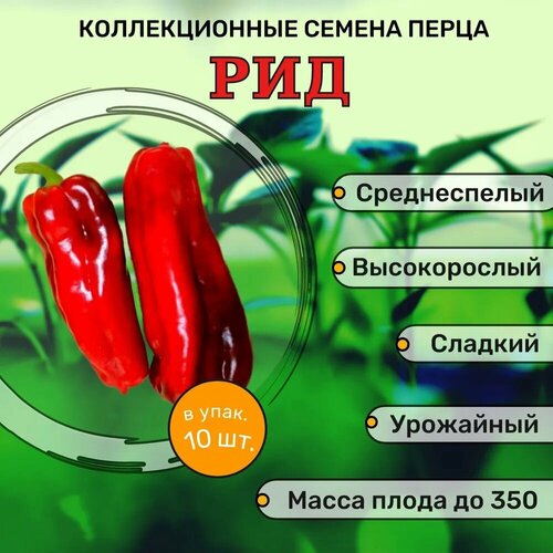 Коллекционные семена перца сладкого РИД