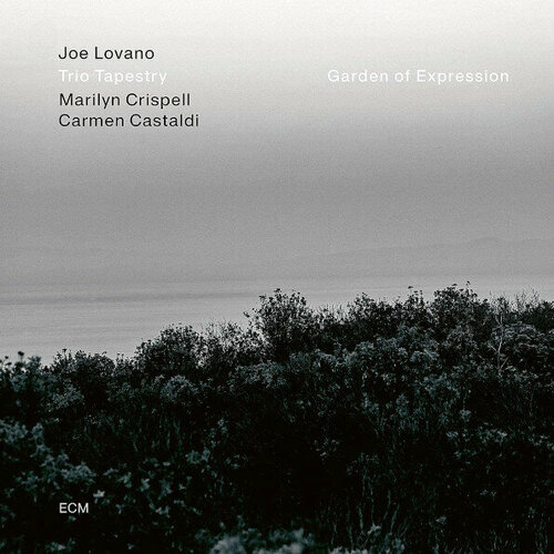 Виниловая пластинка Joe Lovano, Trio Tapestry / Garden Of Expression (LP)