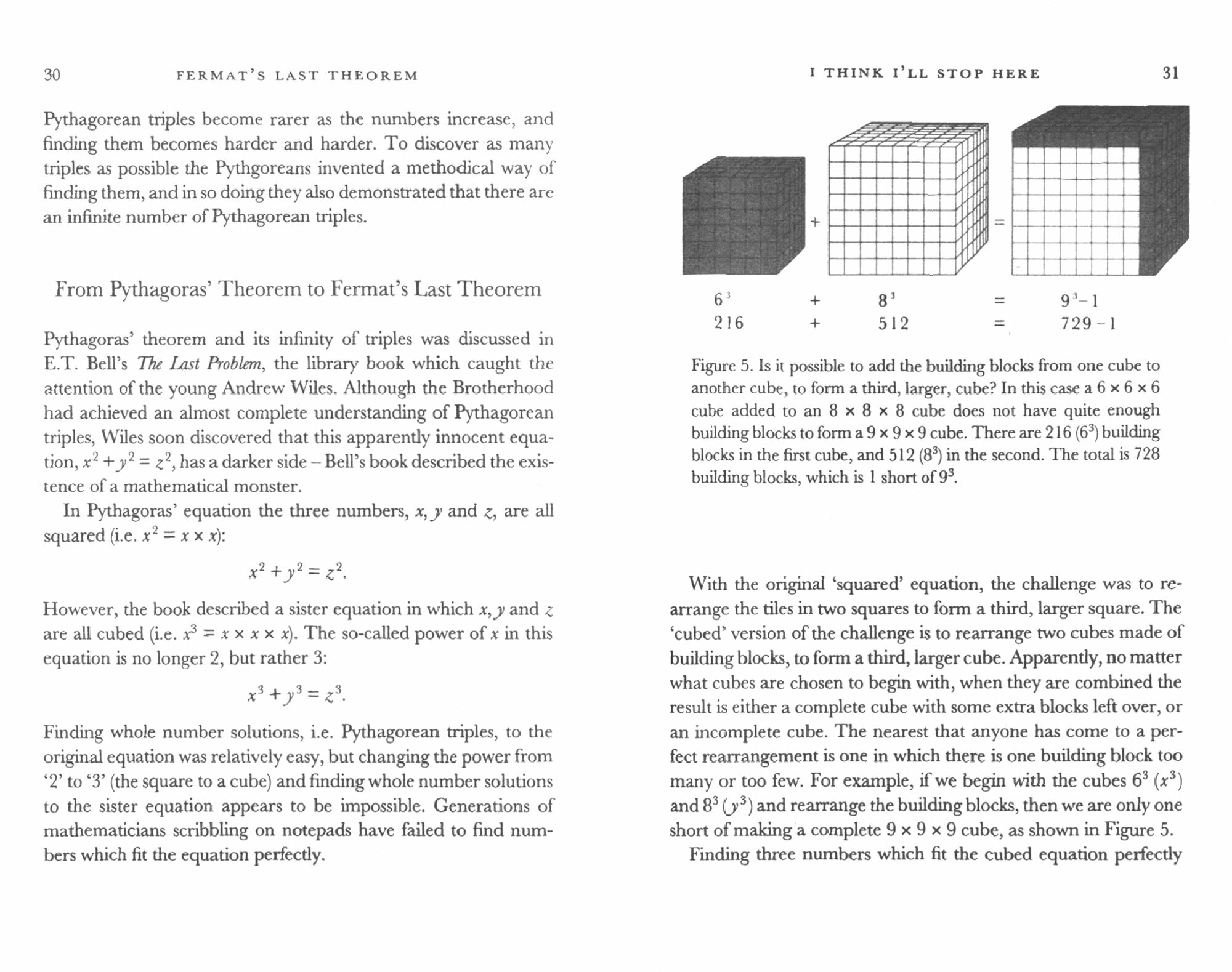 Fermat's Last Theorem (Singh Simon) - фото №2