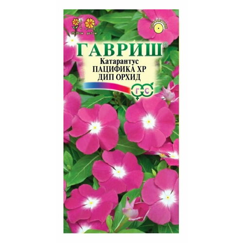 семена цветов катарантус барвинок пацифика хр дип орхид 7 сем семена огурец кураж f1 2 подарка от продавца Семена Катарантус Пацифика XP Дип Орхид - серия Элитная клумба 5 шт.