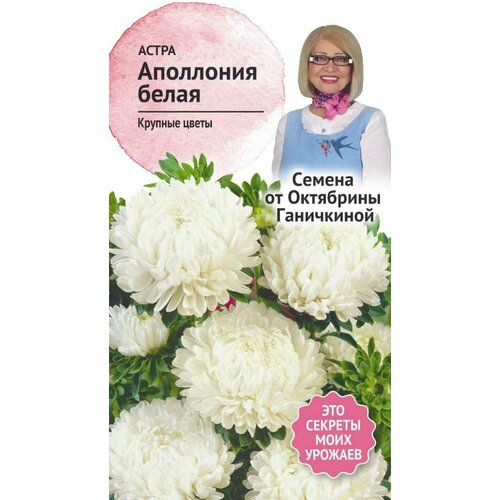 Астра семена октябрина ганичкина Аполлония белая астра семена октябрина ганичкина башня шамоа