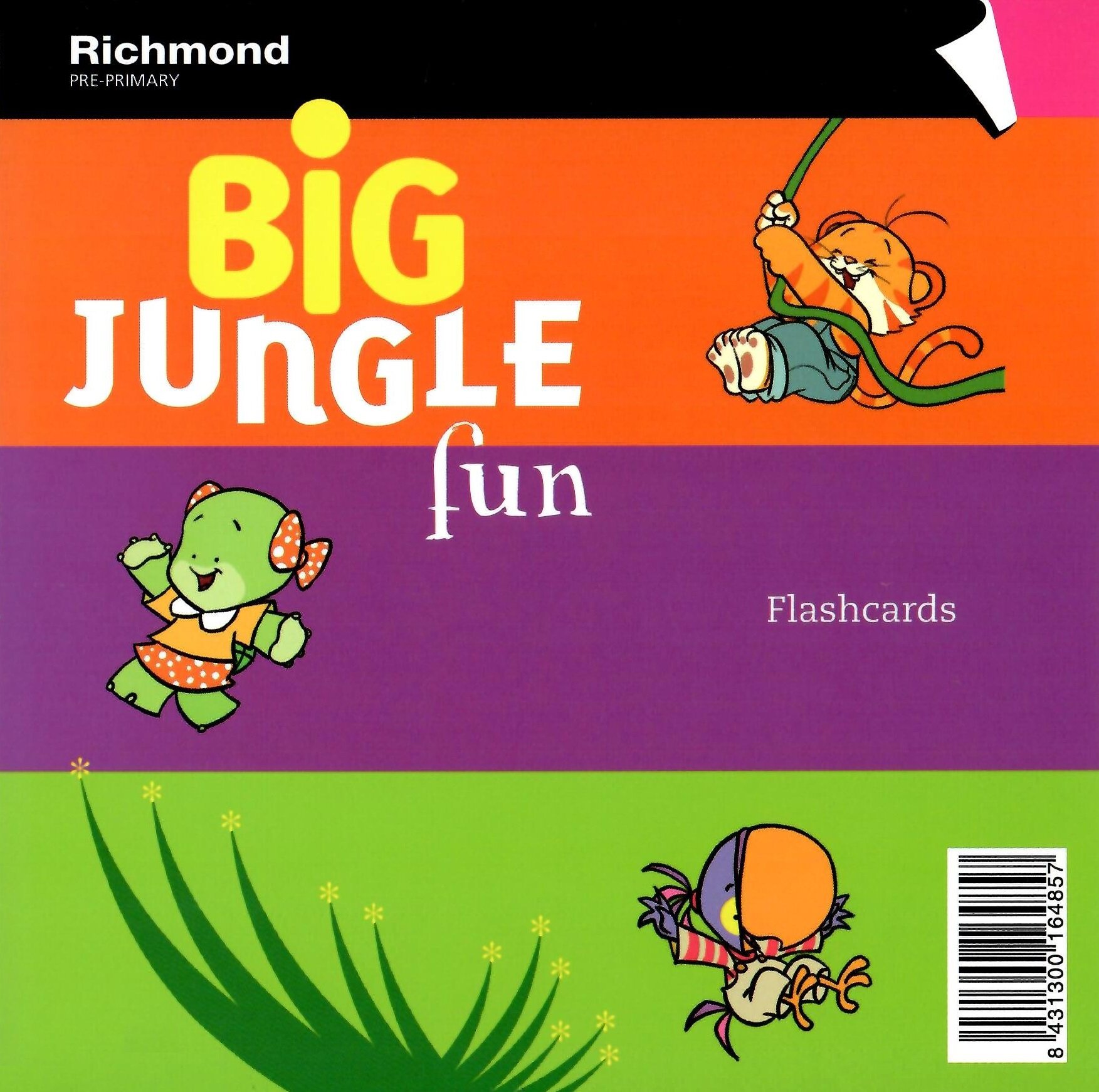 Книга Big Jungle Fun 1 Flashcards - фото №1