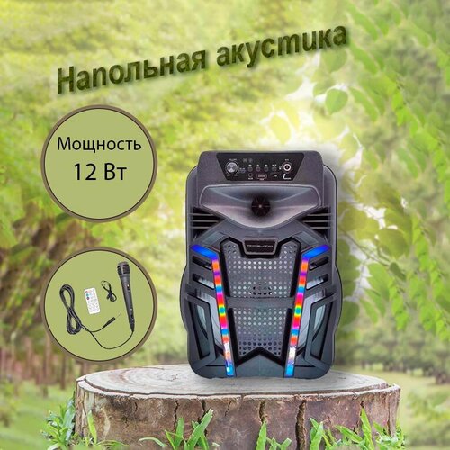 Активная беспроводная напольная колонка OT-SPF10 270000₽