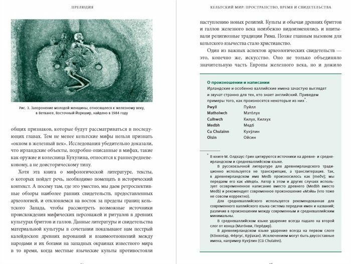 Миранда Олдхаус-Грин. Кельтские мифы - фото №16