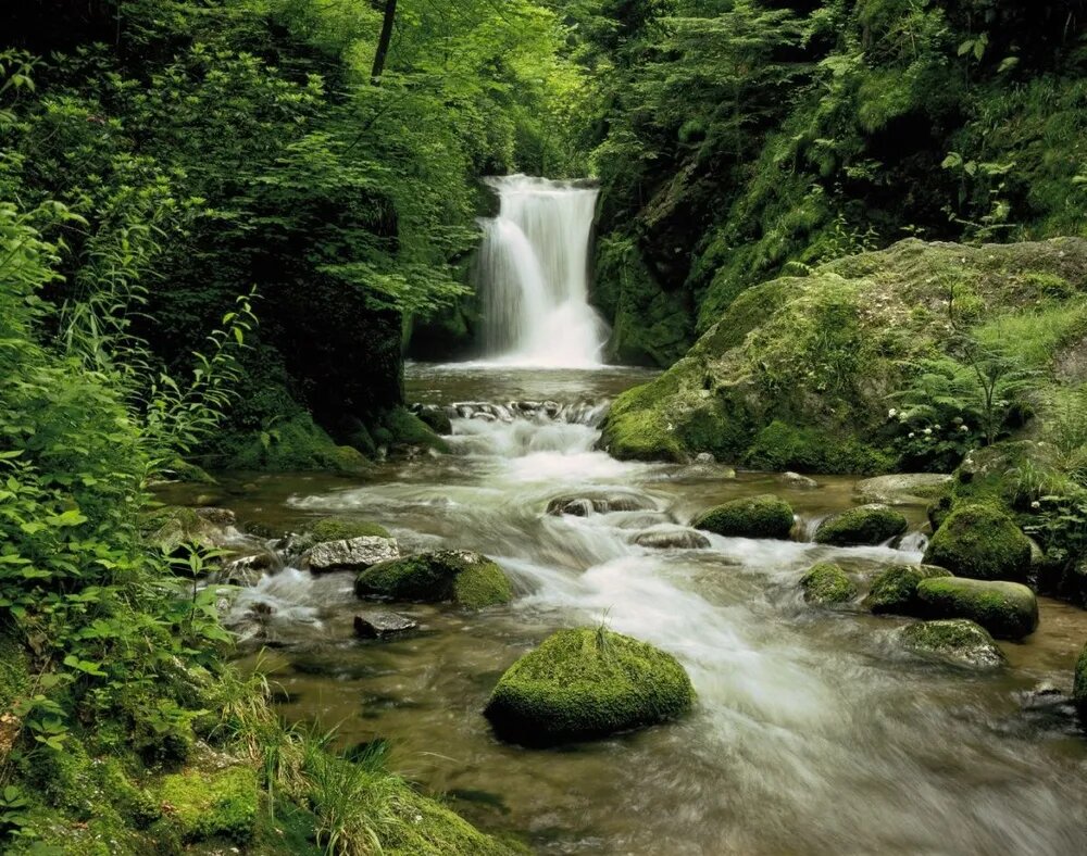 фото Фотообои Komar бумажные 8-047 3,88*2,7 8полотен, клей в комплекте