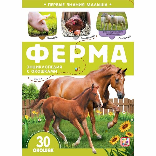 евдокимова а первые знания книжки с клапанами простая арифметика Книжка с окошками «Ферма»
