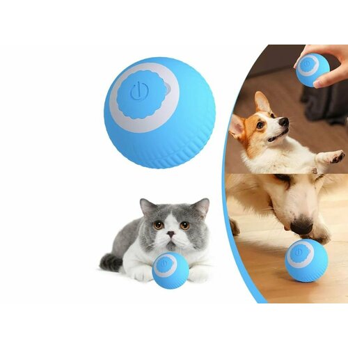 Интерактивная игрушка Cat Teaser мячик шарик- дразнилка для кошек и собак