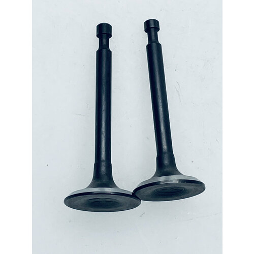 Клапаны в комплекте поз. F12 Patriot VT-60LB ( 2 шт.) 014510121 №822