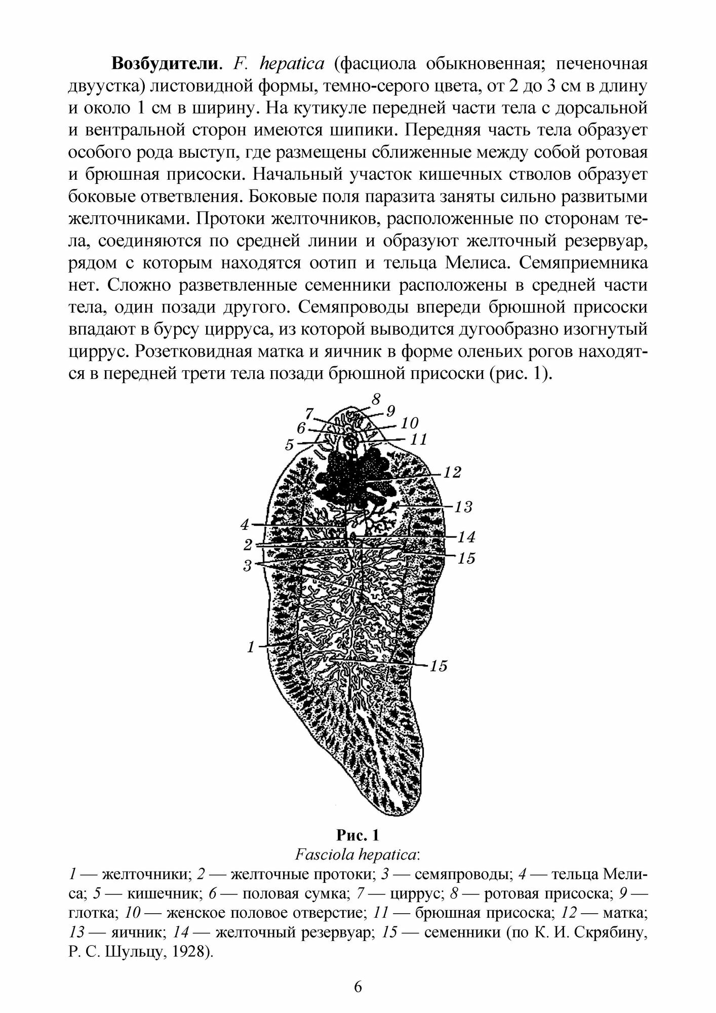 Паразитарные болезни свиней.Уч.пос для вузов - фото №2