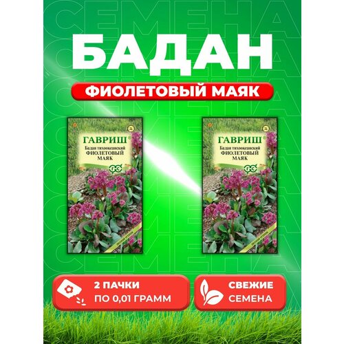 Бадан тихоокеанский Фиолетовый маяк, 0,01г, Гавриш(2уп) семена бадан тихоокеанский фиолетовый маяк 0 01г гавриш лесной уголок 10 пакетиков