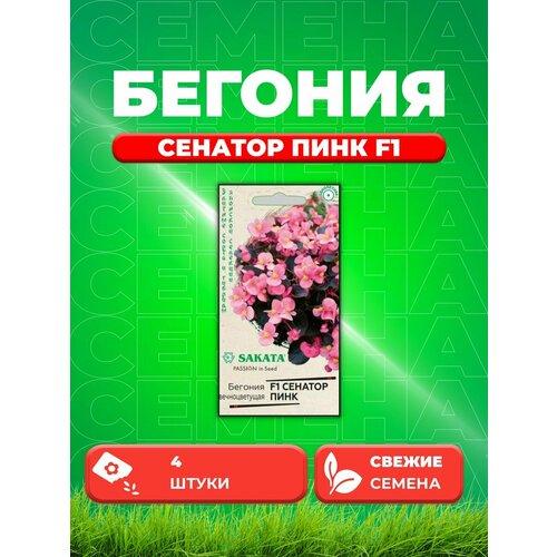 Бегония Сенатор Пинк F1 вечноцв. 4 шт. Саката бегония сенатор алая семена цветы