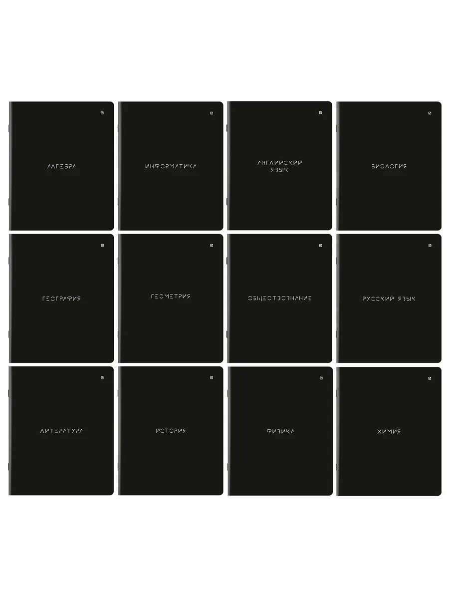 Тетради предметные, комплект 12 предметов, 48 л.