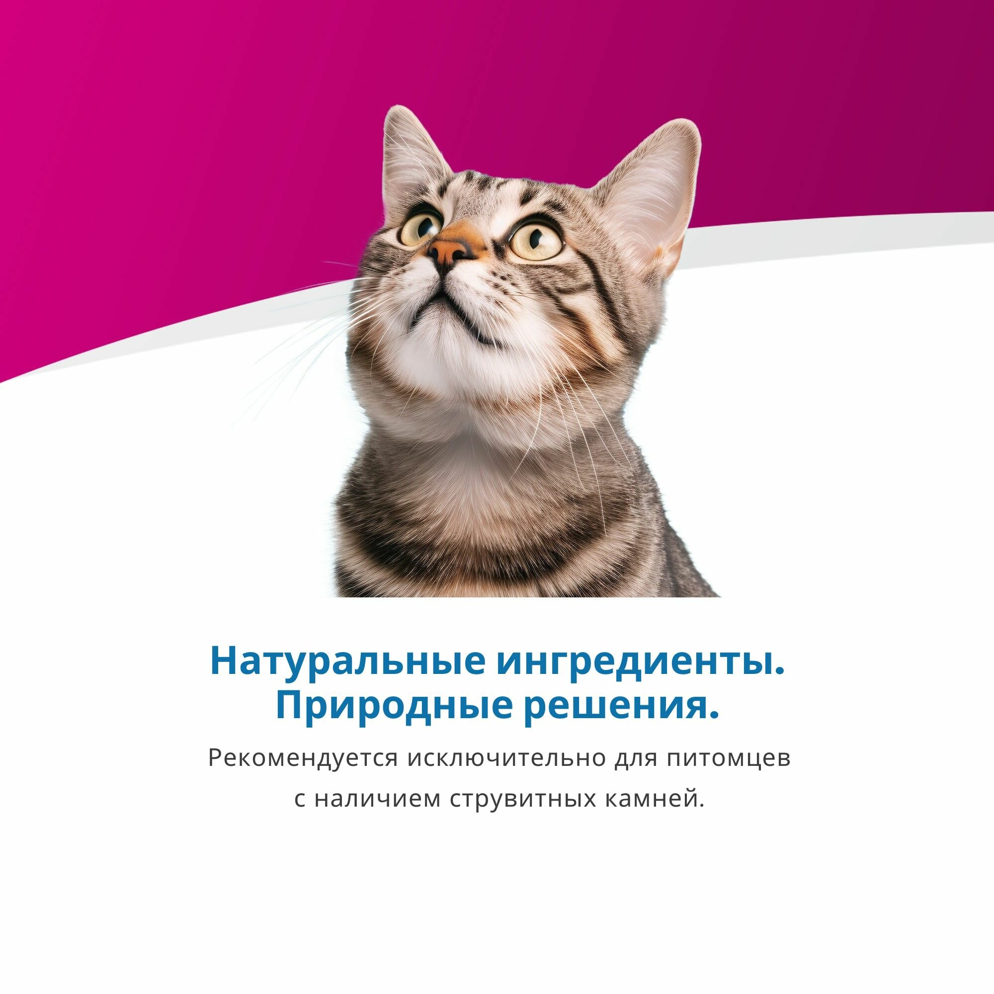 Корма Для Кошек Xiaomi Сухой диетический корм для кошек Farmina Vet Life Struvite, при мочекаменной болезни (МКБ), для растворения струвитных уролитов, курица, 400 г