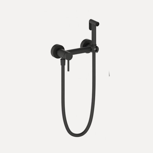 Изображение товара Смеситель для биде с гигиеническим душем, настенный из латуни от бренда Vieir V462552-C черный