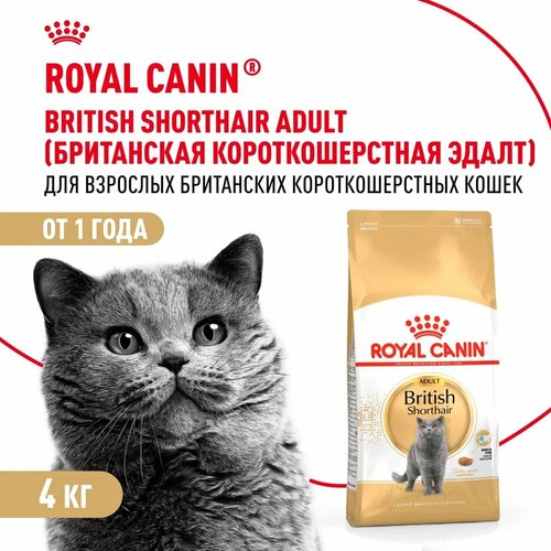 Royal Canin British Shorthair Adult для взрослых кошек британской короткошерстной породы Курица, 4 кг.