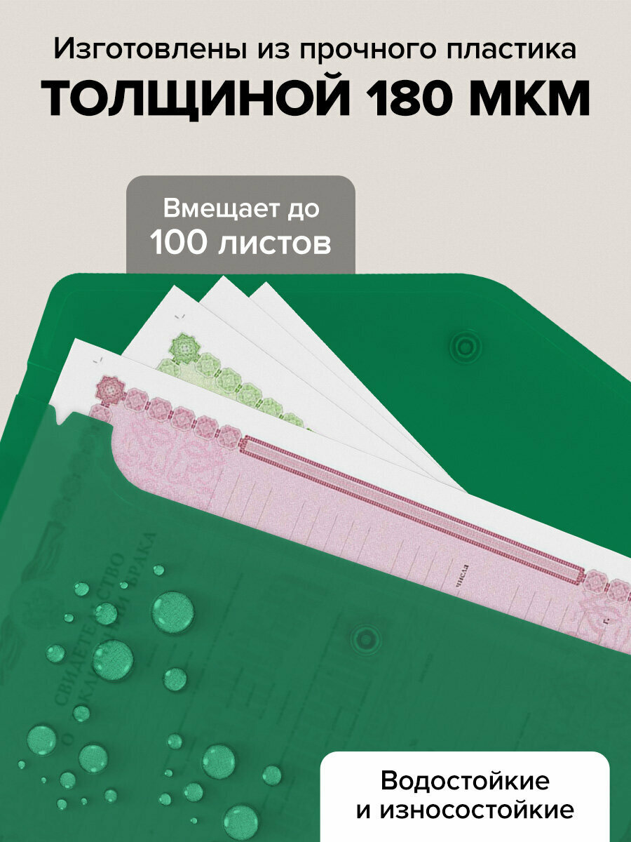 Папка конверт для тетрадей, документов и бумаг А5 с кнопкой, набор 11 штук, канцелярия для школы и офиса, цвета ассорти, Brauberg, 272870 — фото 1