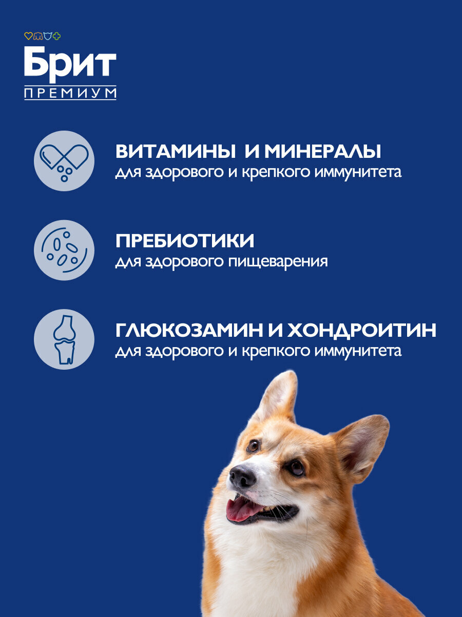 Сухой корм для взрослых собак Brit Premium, курица 1 уп. х 3 кг (для средних пород) — фото 1