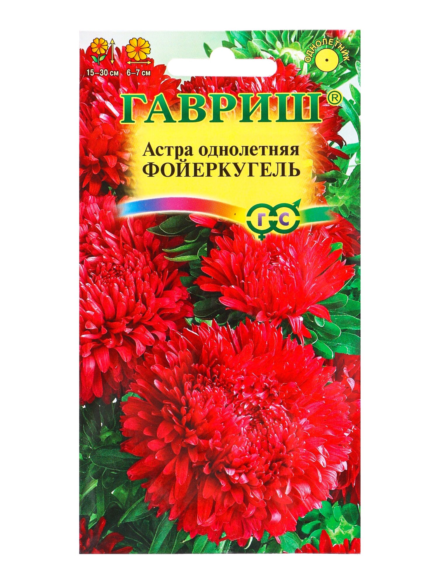 Семена цветов Астра однолетняя Фойеркугель 0.3 г. 6 упаковок