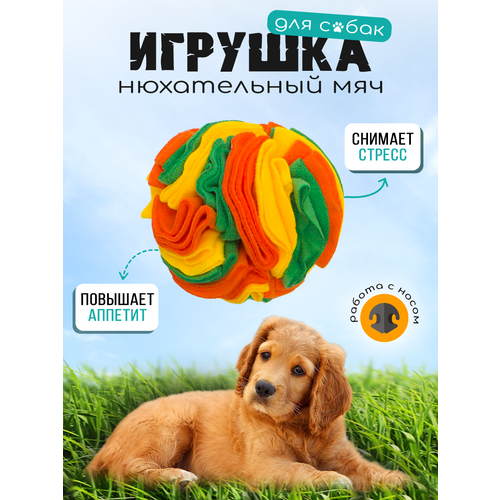 Игрушка для кошек и собак, Roksy-hall, Нюхательный мячик, трехцветный