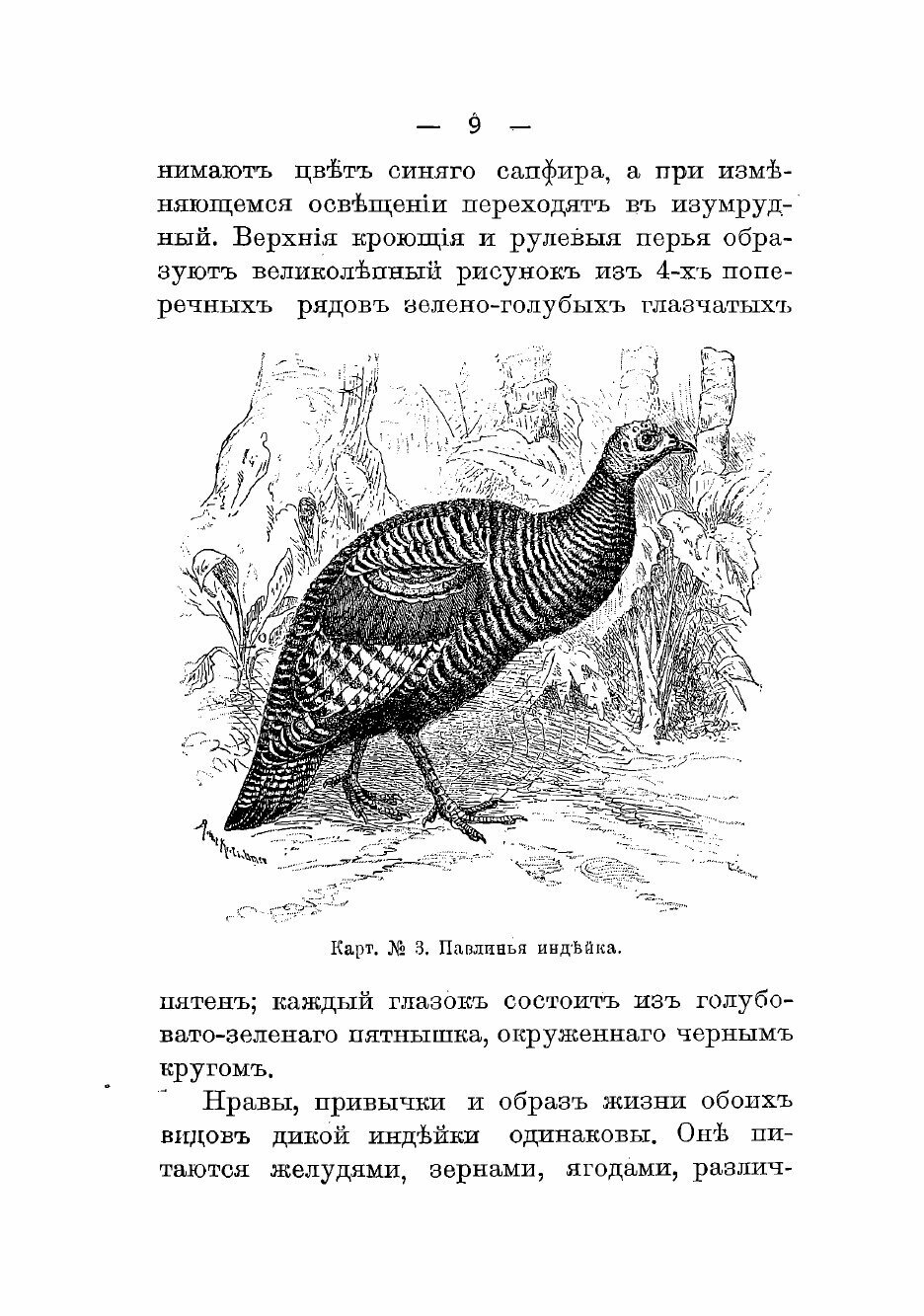 Книга Промысловое птицеводство - фото №7